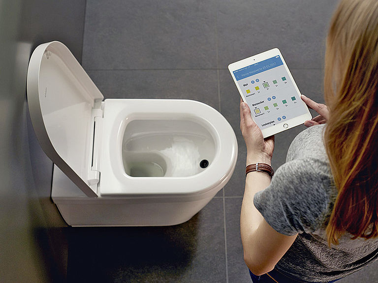 Duravit karriere